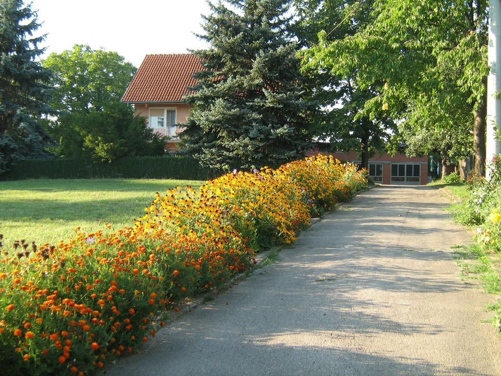 Apartments Domacinstvo Nikolic Valjevo Buitenkant foto
