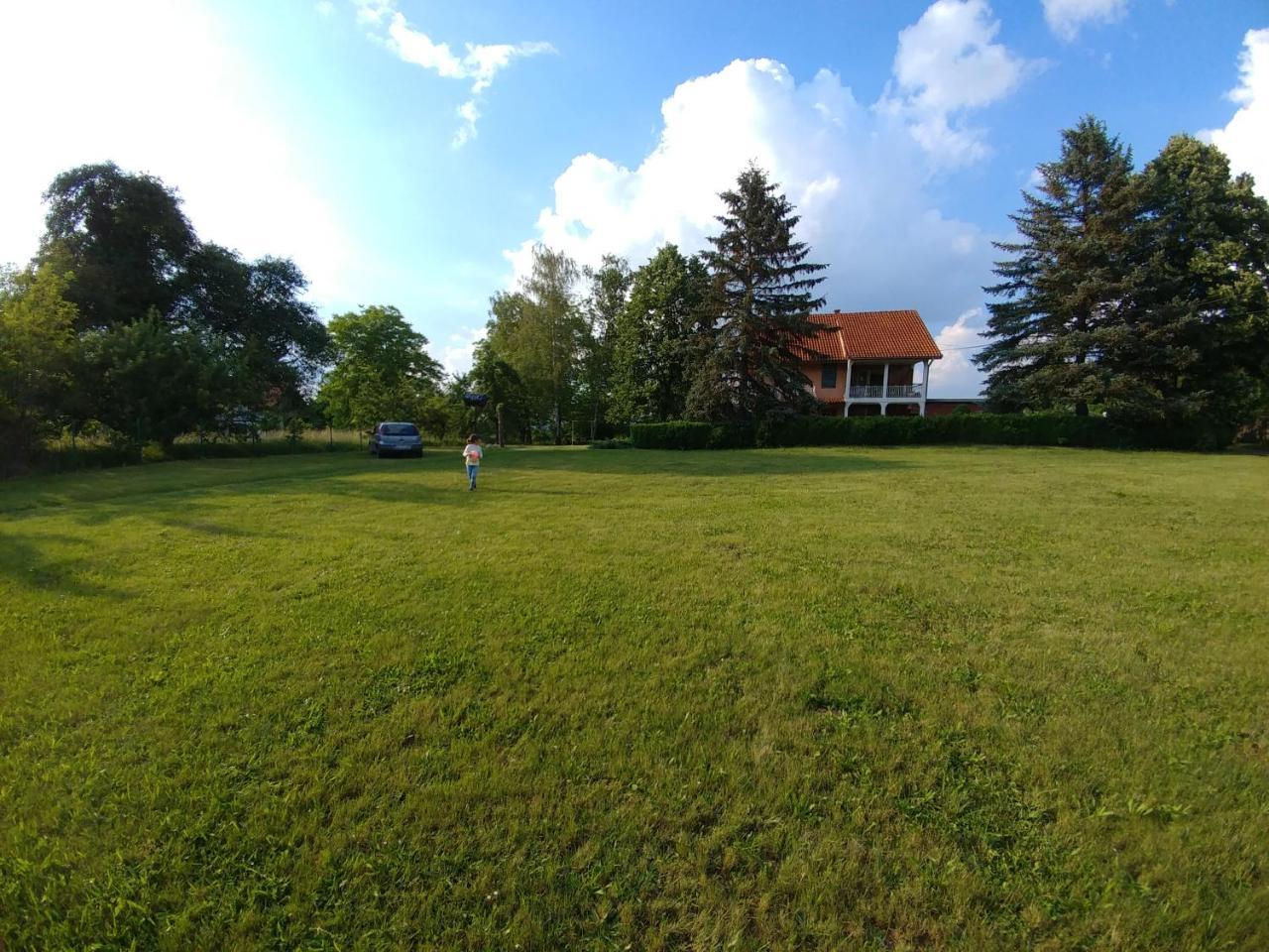 Apartments Domacinstvo Nikolic Valjevo Buitenkant foto